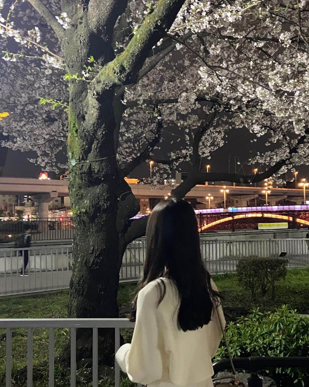 遠藤璃菜さんのインスタグラム写真 - (遠藤璃菜Instagram)「夜桜🌸  街中の桜綺麗で見てて癒される   #浅草  #桜  #夜桜」3月31日 18時46分 - e_rina_ta
