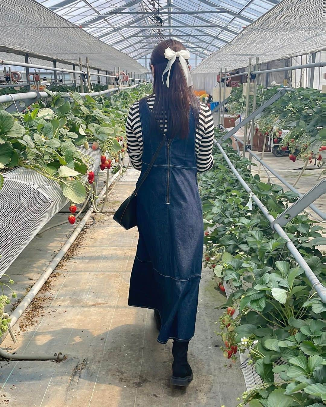 薄倉里奈のインスタグラム：「. . いちご狩りいってきた🍓」