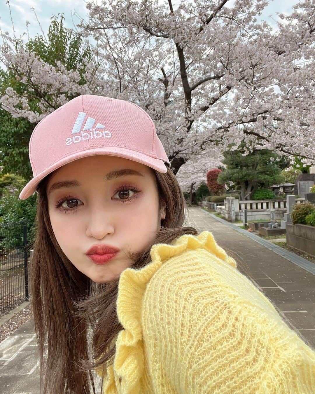 新希咲乃さんのインスタグラム写真 - (新希咲乃Instagram)「桜が満開でした𓂃🌸𓈒𓏸 お気に入りのスニーカーはPUMAとMERCURYDUOとのコラボだよ！ ライトグレーでどんな服とも合うの！  カラコンは #miium  #カーヴィピンク 💓  🧢 @adidastokyo  👕 @shopcider  👖 @ungrid_official  👟 @mercuryduo_com  @pumajapan    #MERCURYDUO  #🌸  #桜  #青山霊園  #ungrid」3月31日 18時56分 - niki_sakino