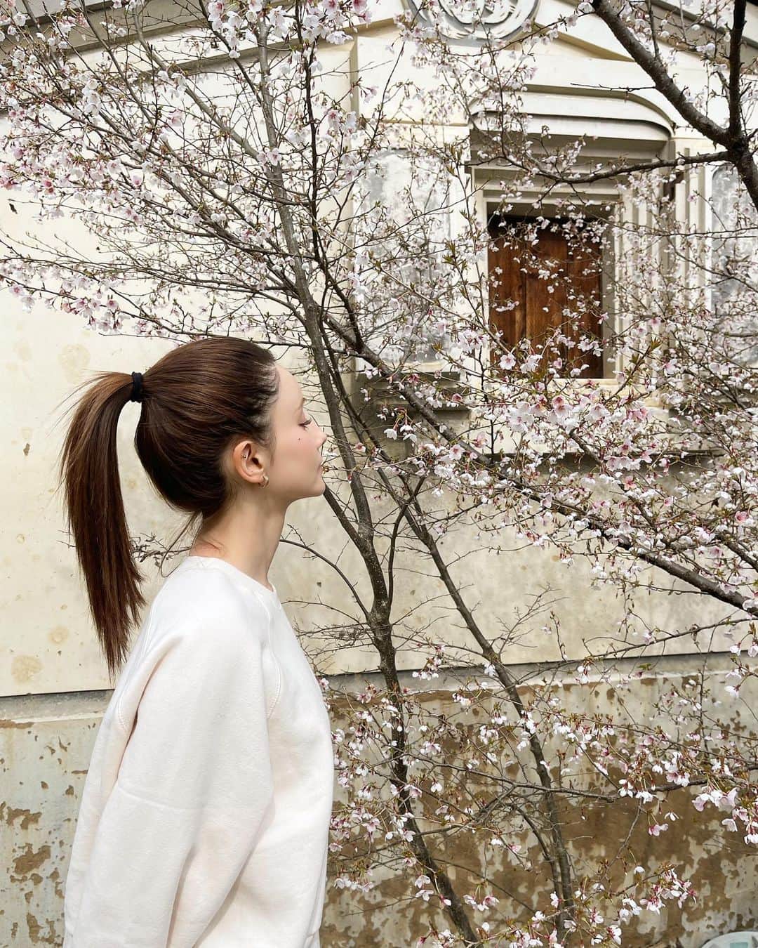 ダレノガレ明美さんのインスタグラム写真 - (ダレノガレ明美Instagram)「友達と朝から実家に行ってBBQしてきました〜 たのしかったなぁ〜！ 何から何まで準備してくれた両親に感謝です！  お庭の桜が綺麗だったので📷」3月31日 18時57分 - darenogare.akemi