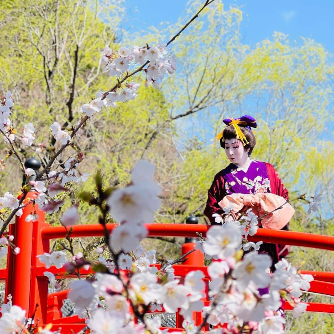 江戸ワンダーランド 日光江戸村のインスタグラム：「・ 花と華 | flowers and glorious🌸 ・　 ・ #edo #edowonderland #nikko #hanami #桜 お花見 #いざ江戸へドロン #江戸の風景 #春の江戸 #江戸人 #日光 #テーマパーク #江戸時代 #江戸ワンダーランド日光江戸村」