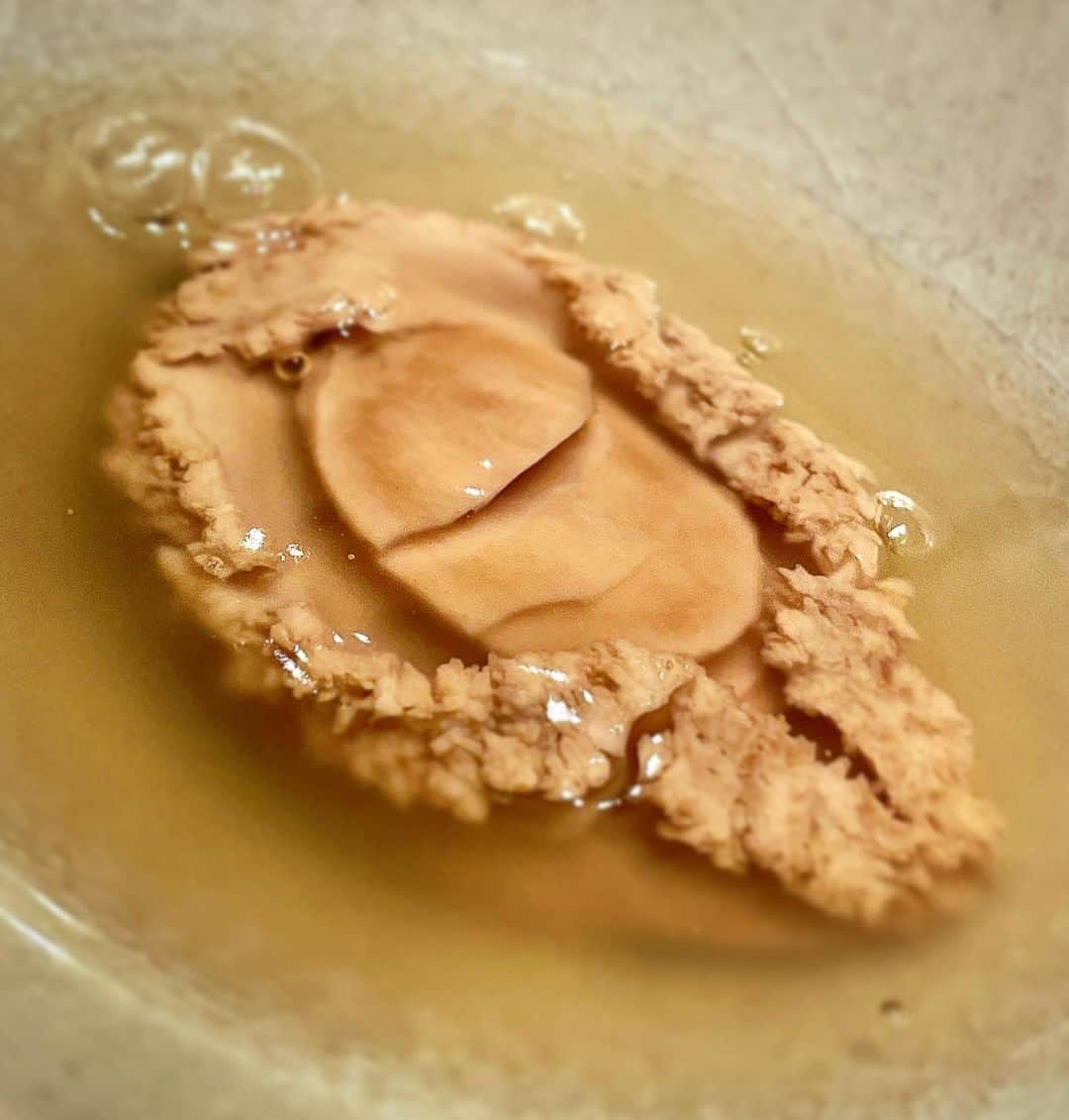 のインスタグラム：「先日お邪魔した『ShinoiS』🌟 久々の中華🥠 美味しすぎました🥹  因みに昨日まで2日間断食ファスティング✨ 今日はヨーグルトしか食べてません🥺 お腹空きました🥹  ShinoiS 03-6277-0583 東京都港区白金台4-2-7 bld桜なみき 2F https://tabelog.com/tokyo/A1316/A131602/13241948/  #食事記録 #グルメ #グルメ好きな人と繋がりたい  #グルメ女子  #美食 #美食日記 #美食推薦 #和食 #和食ごはん  #ごはん #ディナー #dinner #dinnertime  #美味しい #美味しいもの好きな人と繋がりたい  #美味しいもの  #美味しいご飯  #美味しいお店  #美味しいもの大好き  #美味しいもの巡り  #インスタ女子 #インスタグルメ #インスタグラマー #インスタ映え #インフルエンサー #インフルエンサー募集  #女社長 #女性起業家」