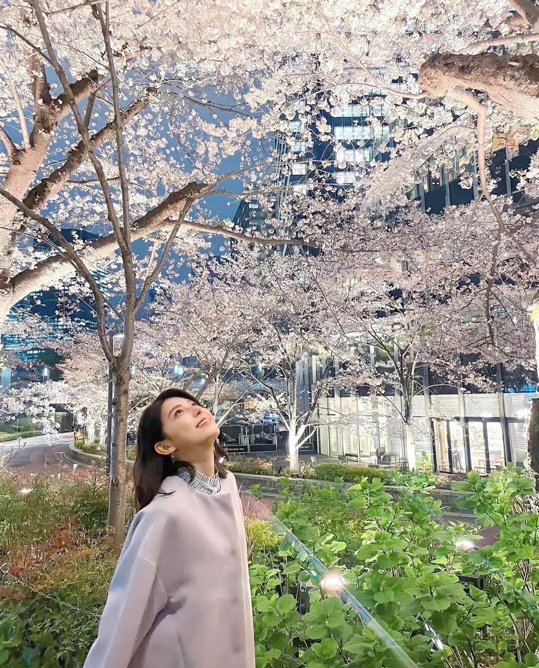 上村彩子さんのインスタグラム写真 - (上村彩子Instagram)「. . 今週からNスタがリニューアルし、 新コーナー『すたすた中継』で 東京ミッドタウンからお届けしました。 ブロッサムハイボールを飲みながらの 夜桜は、幻想的で最高でしたよ🌸  Nスタリニューアルと、 新年度を迎える皆さんにかんぱーい！🥃  #Nスタ #すたすた中継#お花見」3月31日 19時02分 - saekokamimura
