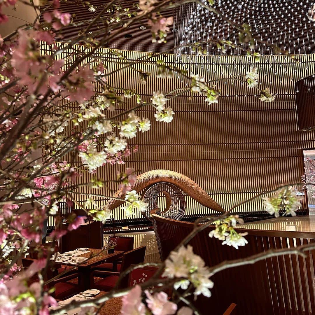 The Peninsula Tokyo/ザ・ペニンシュラ東京さんのインスタグラム写真 - (The Peninsula Tokyo/ザ・ペニンシュラ東京Instagram)「ザ・ロビーでは4/2(日)まで館内を華やかに彩る桜ですが、桜アフタヌーンティーは4/30(日)までご提供いたします🌸皆さま、どうぞ素敵な週末をお過ごしください♪😊  #thepeninsulatokyolovessakura」3月31日 19時05分 - thepeninsulatokyo