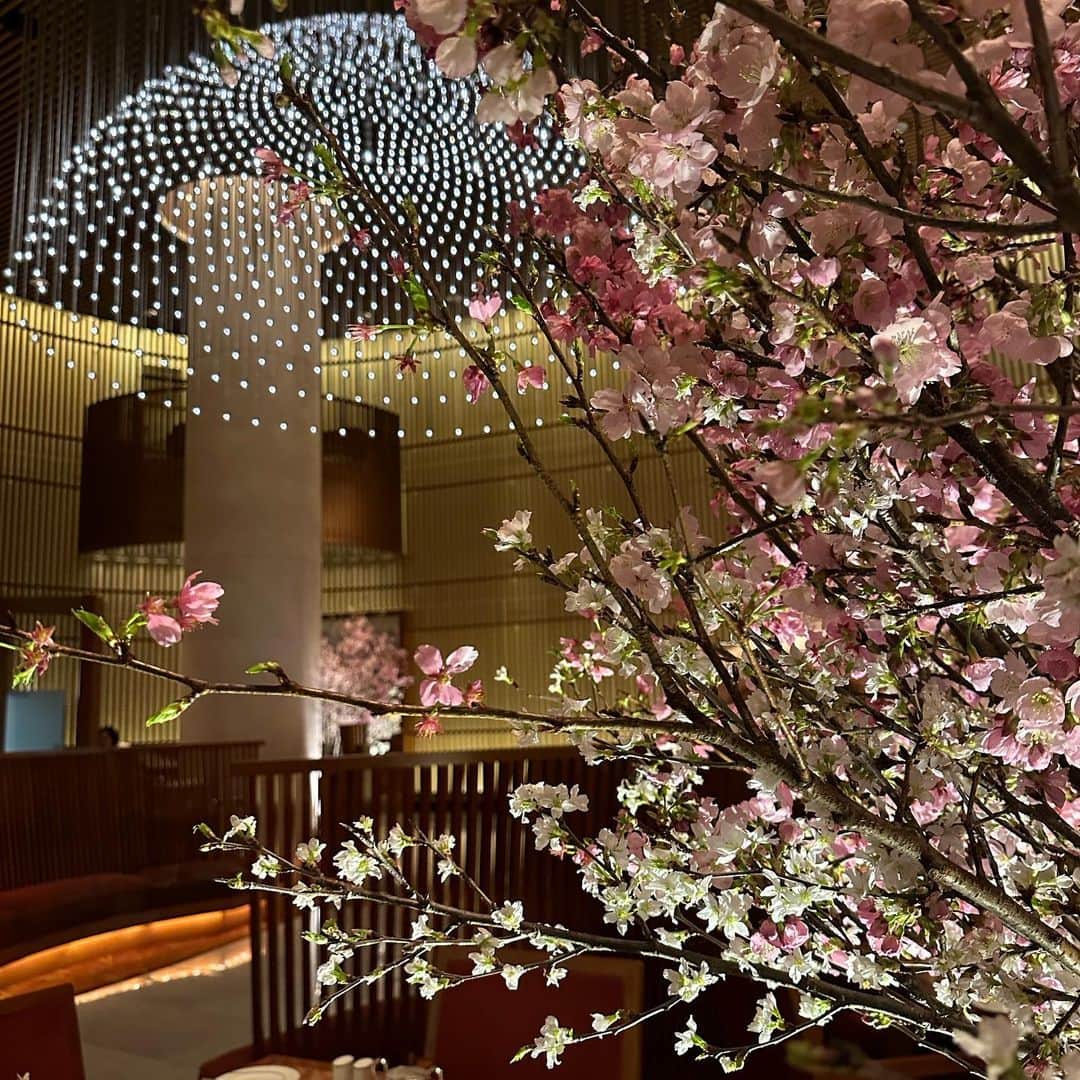 The Peninsula Tokyo/ザ・ペニンシュラ東京さんのインスタグラム写真 - (The Peninsula Tokyo/ザ・ペニンシュラ東京Instagram)「ザ・ロビーでは4/2(日)まで館内を華やかに彩る桜ですが、桜アフタヌーンティーは4/30(日)までご提供いたします🌸皆さま、どうぞ素敵な週末をお過ごしください♪😊  #thepeninsulatokyolovessakura」3月31日 19時05分 - thepeninsulatokyo