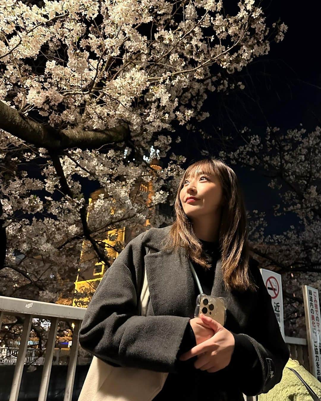 長崎望未のインスタグラム：「.  夜桜🌸🌙  散っていく桜もまた儚げだった🥺  なぜか至る所に みんな大好きパク・ボゴム😂🏮  途中からそこにしか目がいかなくって いっぱいありすぎて謎でした😂  ちなみに私はパク・ボゴムより コン・ユとウヌくんを好んでます😂✨  #夜桜 #ライトアップ」
