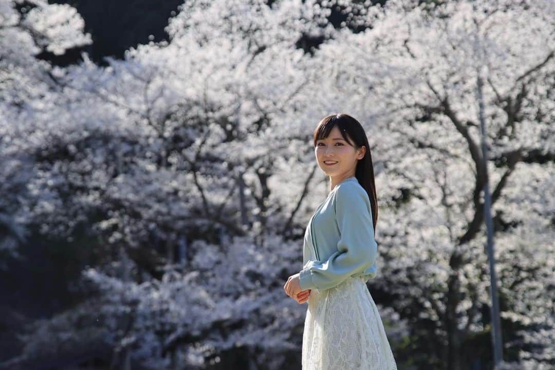 のインスタグラム：「お疲れさまでした🌸 2023年度もよろしくお願いします☻  念願の桜を見に行くことができました！ さてどこかな。。  photo by @tanaseda 🌸  追記 岐阜県本巣市の根尾谷淡墨桜でした✨  #メーテレアナウンサー #南雲穂波 #なぐもぐもぐ」