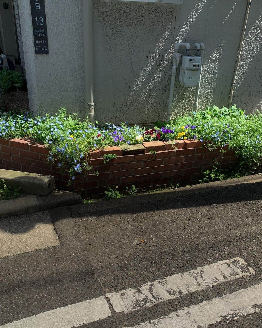 浦川望美のインスタグラム：「角の花壇が好き」