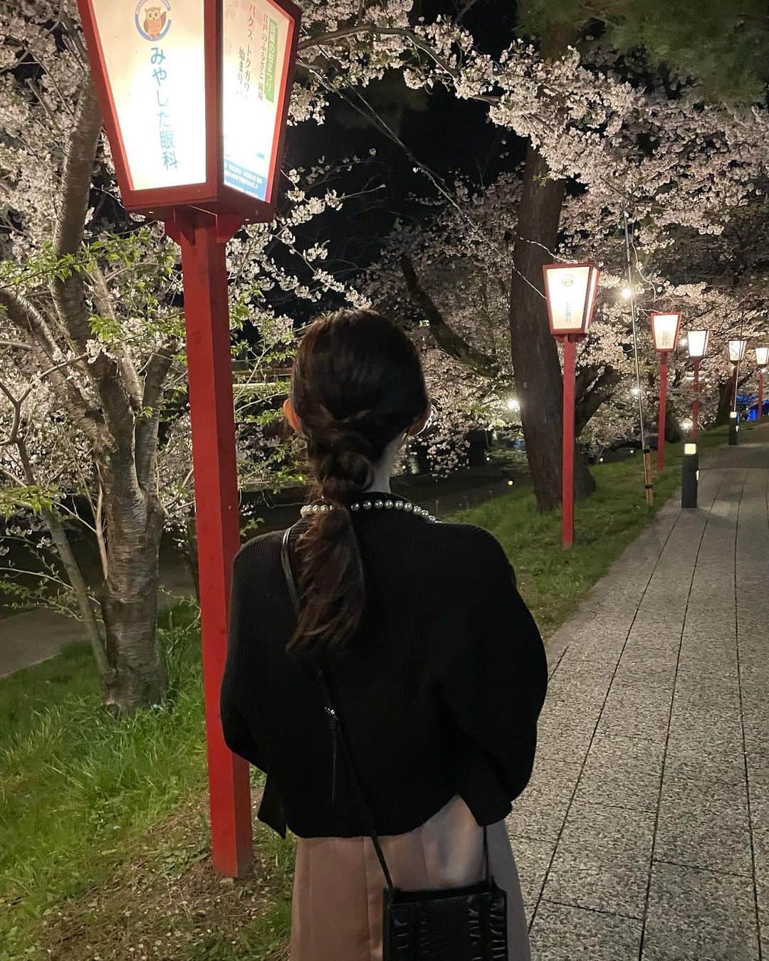 杉浦琴音さんのインスタグラム写真 - (杉浦琴音Instagram)「🌸🌃  #夜桜 #ヘアアレンジ」3月31日 19時23分 - kotochannokoto