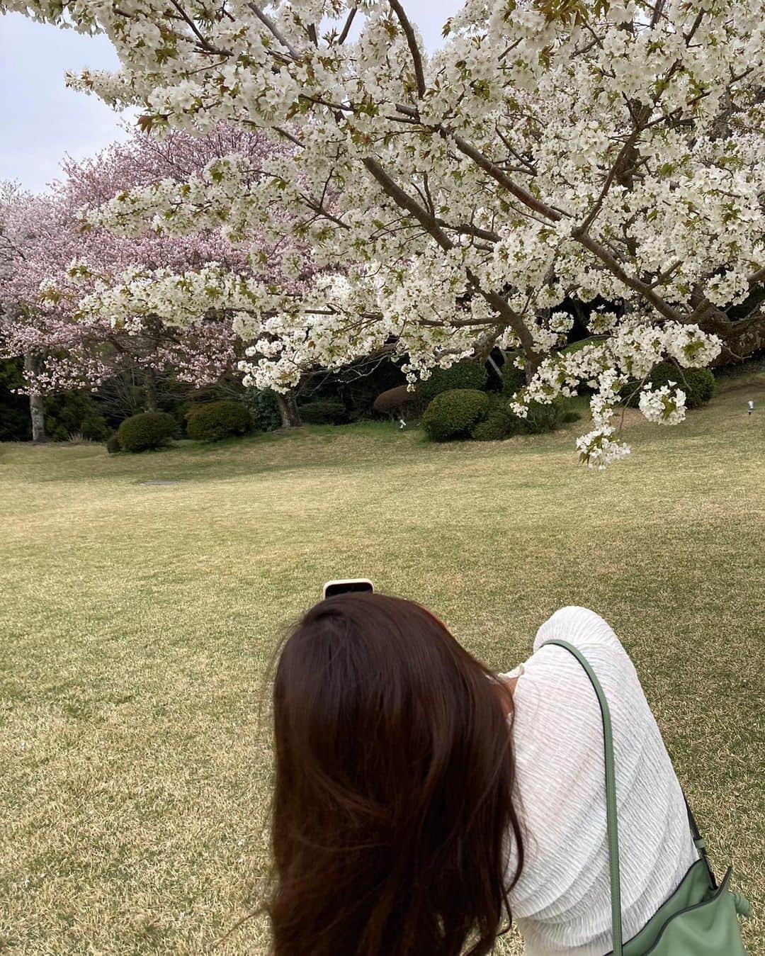 のインスタグラム：「. 結婚記念日🌸🎈 ⁡  ⁡ #🌸🌸🌸 #🗻🗻🗻 #結婚記念日」