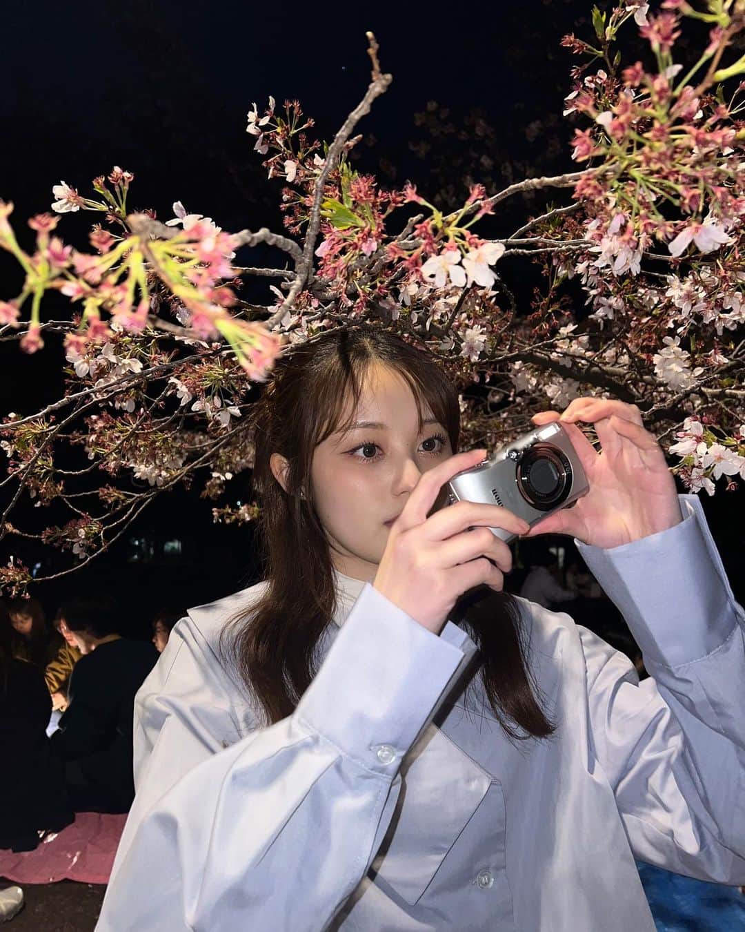 福山絢水さんのインスタグラム写真 - (福山絢水Instagram)「ちょっと花見できた 夜桜も素敵だね~🌸  ・ ・ #桜 #花見」3月31日 19時24分 - aya__m02