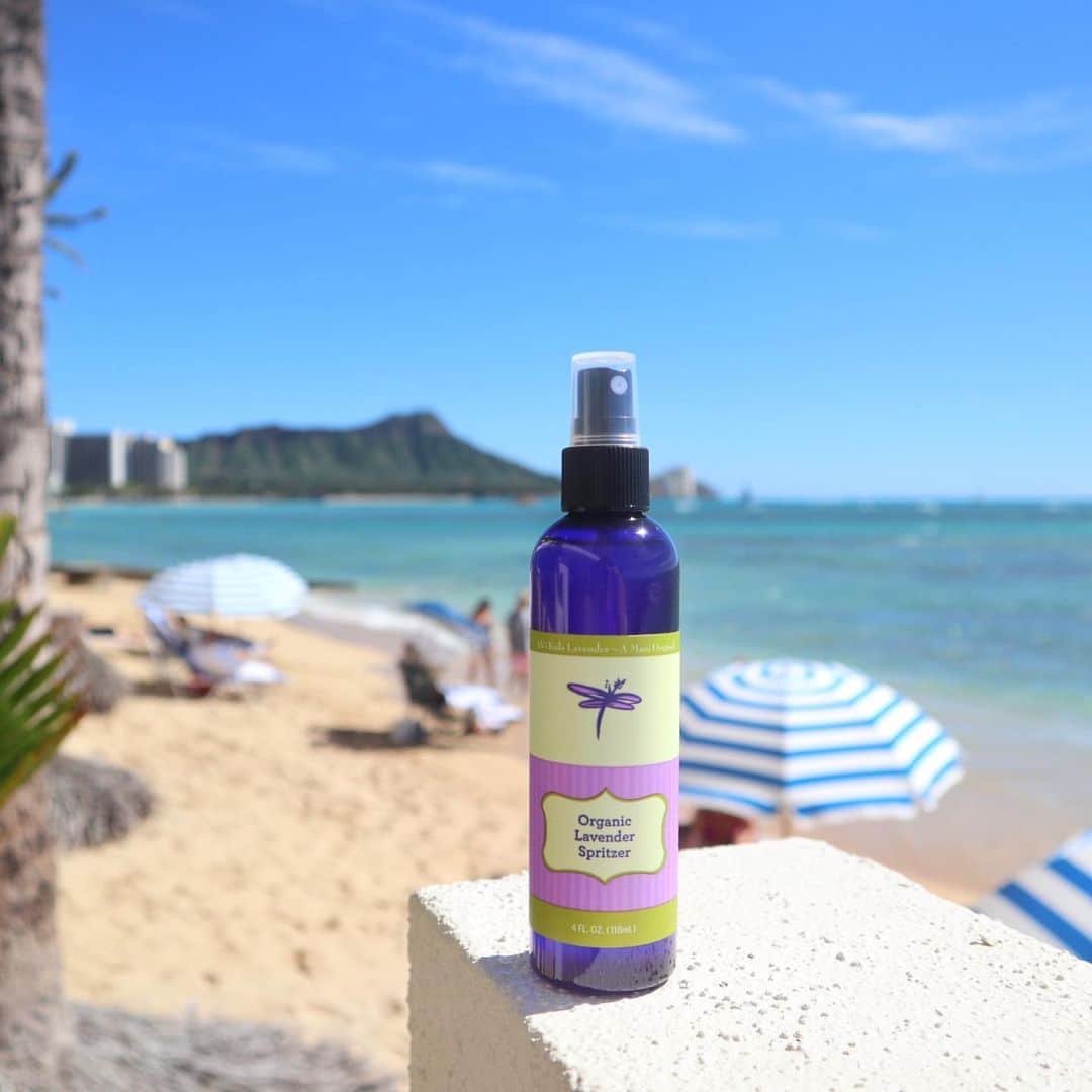 Belle Vie Hawaiiさんのインスタグラム写真 - (Belle Vie HawaiiInstagram)「Ali’i Kula Lavender  Organic Lavender Spritzer 🌿  マウイ島ハレアカラの麓のラベンダーファームから届いたオーガニックラベンダーミスト💜  ラベンダーやカモミール，ローズマリー、ローズウォーター、 ティーツリーなどこだわりの有機栽培植物を贅沢に配合😍 お肌に潤いを与え空気をリフレッシュさせてくれます❣️  髪や体にはもちろん、 お休み前に枕カバーやシーツなどの リネンにひと吹きするのもおススメ😴  ラベンダーにはリラックス効果のほか消臭効果もあると言われているので、 バスルームや車の中、オフィスなどに常備しておくと便利です👍  ＼エイジングケアクリームセール／ WEB本日最終日📣 「KINAキナ」アドバンスド・ディープリペアクリーム20%OFF‼️  クーポンコード: 329KNA セール期間: 4月1日(土)まで ※WEB本日最終日/店頭明日まで ※WEB注文は上記クーポン利用で割引適用  店頭営業時間: 10am-8pm 無休 上記以外にも店頭だけのお買い得商品多数あり🉐 詳しくは店頭でお尋ねください  Open Daily 10am-8pm Instagram in English @belleviehawaii.en   #aliikulalavenderfarm  #madeinhawaii  #ラベンダーの香り  #フレグランスミスト  #オーガニックコスメ  #メイドインハワイ  #サスティナブルブランド」4月1日 6時28分 - belleviehawaii