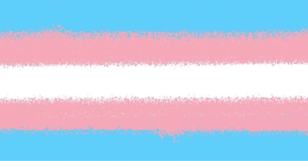 アンナ・パキンのインスタグラム：「Today is #transdayofvisibility but I stand with my trans siblings every day of the year and always will. 🏳️‍⚧️🏳️‍⚧️🏳️‍⚧️🏳️‍⚧️🏳️‍⚧️🏳️‍⚧️🏳️‍⚧️🏳️‍⚧️🏳️‍⚧️🏳️‍⚧️🏳️‍⚧️🏳️‍⚧️🏳️‍⚧️🏳️‍⚧️ And the comments are gonna be off because I have no intention of creating a space for negativity. And some folks apparently just can’t help themselves.」