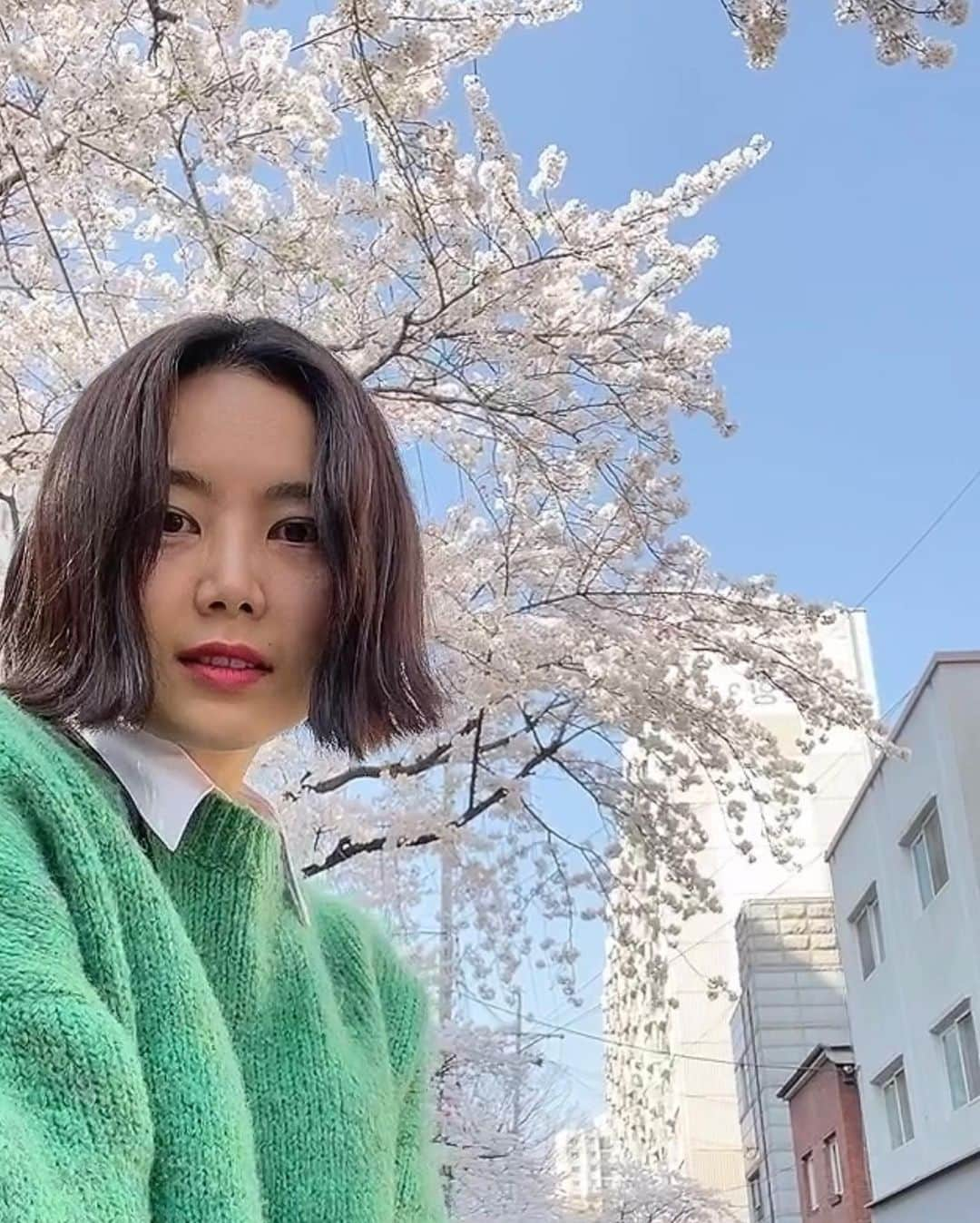 ミリョのインスタグラム：「💚🌸💚🌸 #springhascome #miryo #browneyedgirls #ootd #cantstoploving #colorplay #미료 #벚꽃 #봄이왔당」