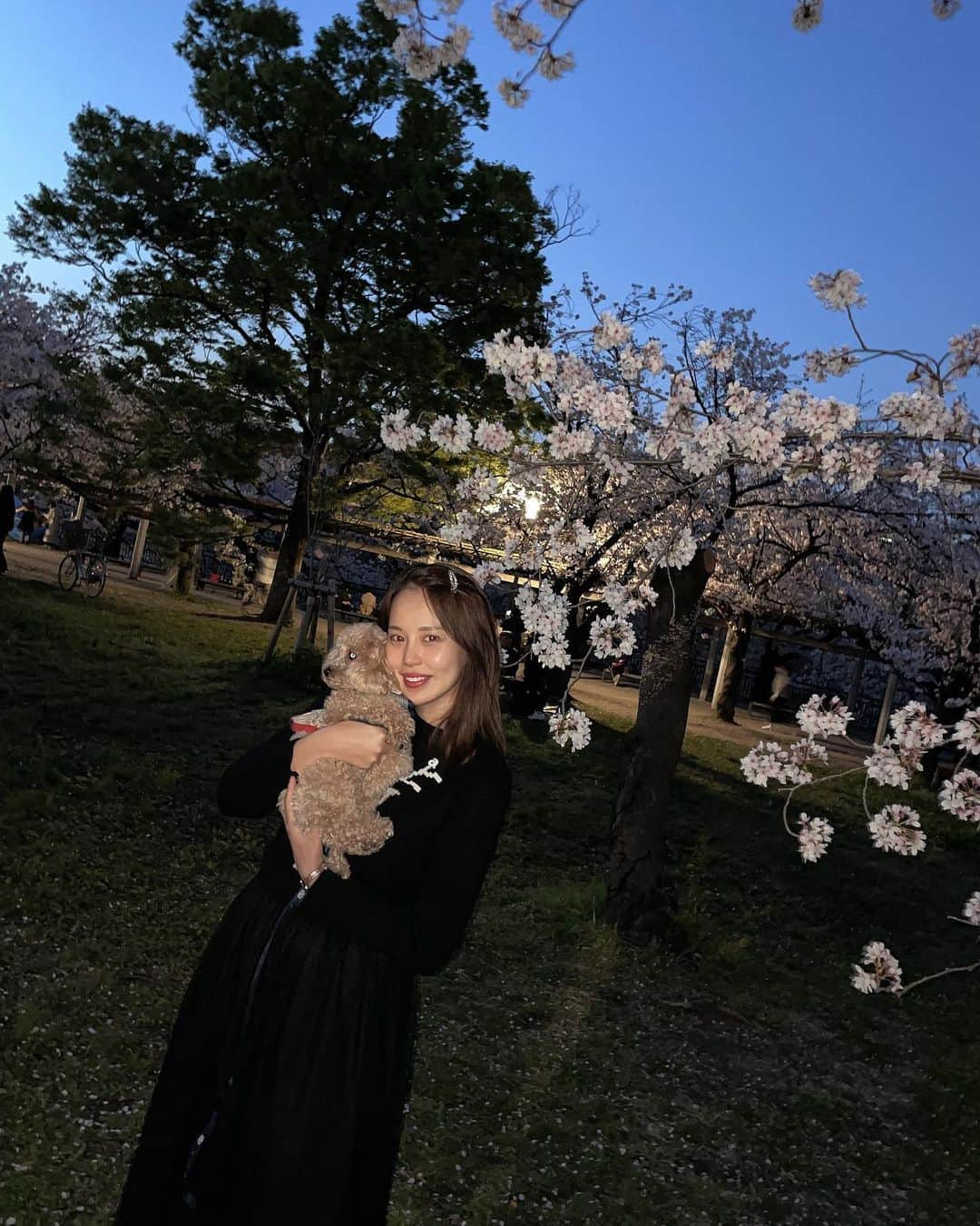 原田怜奈のインスタグラム：「2023年も、もう明日で 4ヶ月目ですね🌸 1年の3分の1ですね😊  早すぎて きっとすぐ30歳を迎え40歳とか なるんだろうなと思います😊  この一年 どういう人生を生きたいか 凄く考え、悩みました😊  一瞬一瞬の自分の選択を信じて ゴルフというスポーツの これからも魅力を 広げていきたいと思います😊  何が言いたいか 分からなくなってきたので 終わります🥺  おやすみなさい🫶 . . . . #女子ゴルフ　#golf」