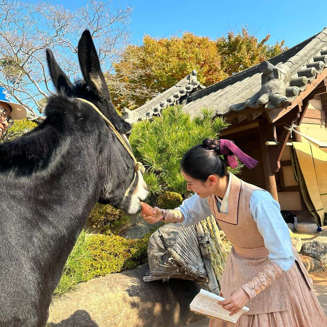 ボナさんのインスタグラム写真 - (ボナInstagram)「6개월동안 열심히 촬영했던 조선변호사 !  드디어 잠시후 9시 50분 첫방합니다🤍 매주 금,토 MBC 에서 만나요🙏🏻🤍」3月31日 21時45分 - bn_95819