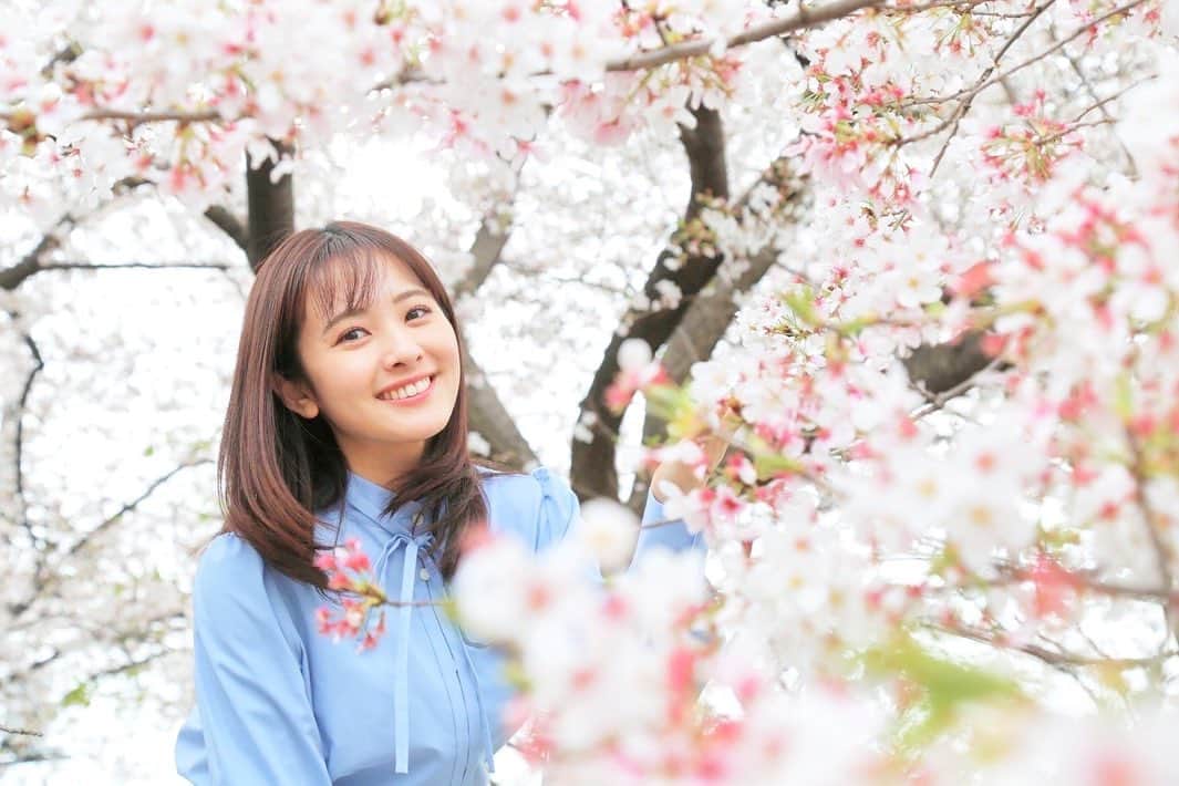 河出奈都美さんのインスタグラム写真 - (河出奈都美Instagram)「. ようやく、満開の桜を近くで🌸 ピンク色の景色に、青空のようなブラウスが 一段と映えます✨  明日から4月、 新たな気持ちで、パワフルに過ごして いきたいと思います！！😊  tops/ Audire  #Audire #ntv_product "Audire"=アウディーレは 日本テレビアナウンサーの声から生まれたブランドです。 @audire_official  #春 #さくら #桜 #日本テレビ #アナウンサー #河出奈都美」3月31日 21時55分 - kawade_natsumi