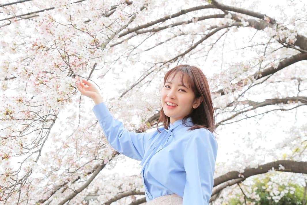 河出奈都美のインスタグラム：「. ようやく、満開の桜を近くで🌸 ピンク色の景色に、青空のようなブラウスが 一段と映えます✨  明日から4月、 新たな気持ちで、パワフルに過ごして いきたいと思います！！😊  tops/ Audire  #Audire #ntv_product "Audire"=アウディーレは 日本テレビアナウンサーの声から生まれたブランドです。 @audire_official  #春 #さくら #桜 #日本テレビ #アナウンサー #河出奈都美」