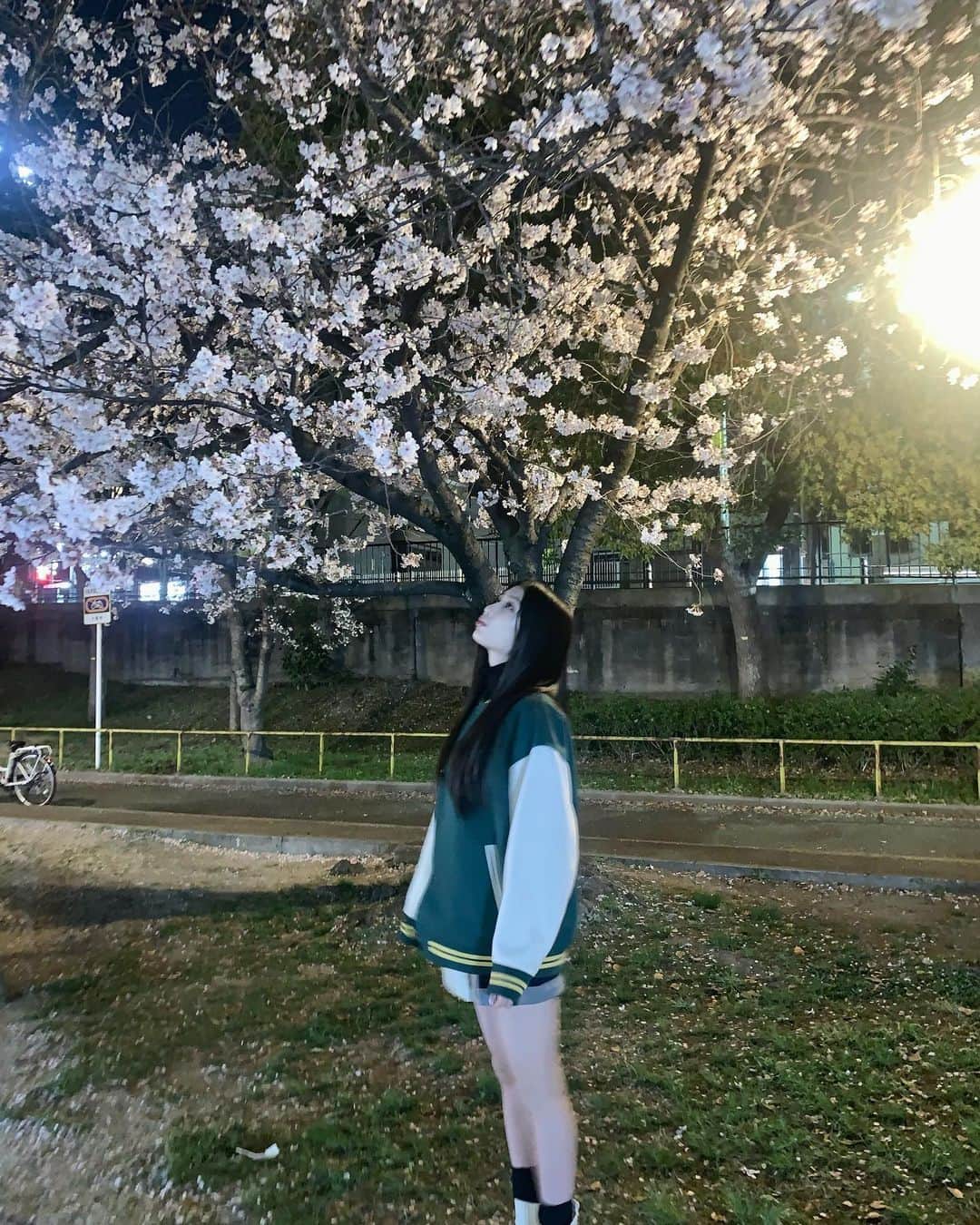 塩月希依音のインスタグラム：「✾･:* ✾  #エモい#エモい写真 #桜#さくら#サクラ#cherryblossom #spring #春#はる#夜桜#夜桜ライトアップ #jk#sjk #05#05년생 #05line」