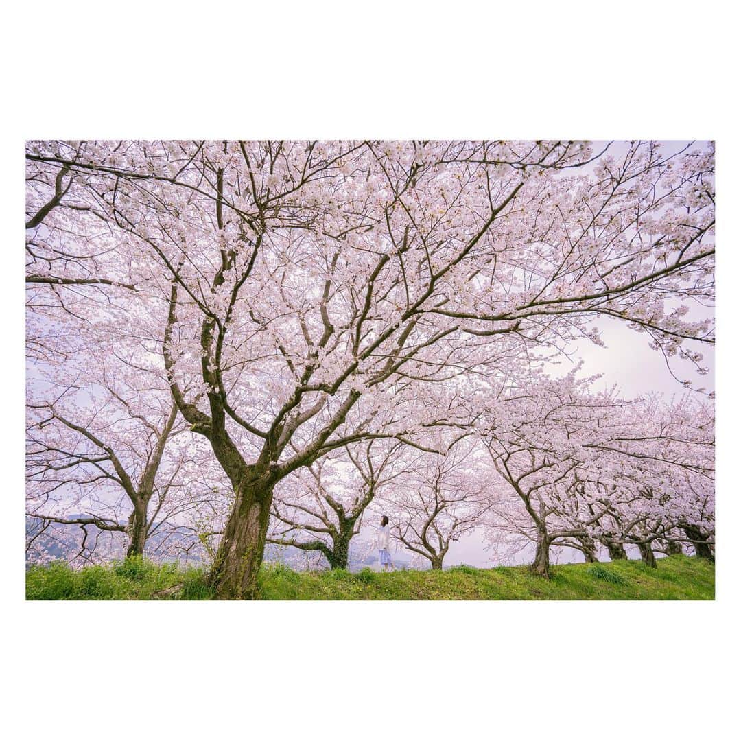 yamatoさんのインスタグラム写真 - (yamatoInstagram)「絶景がすぐそばに」3月31日 21時53分 - yamato1226
