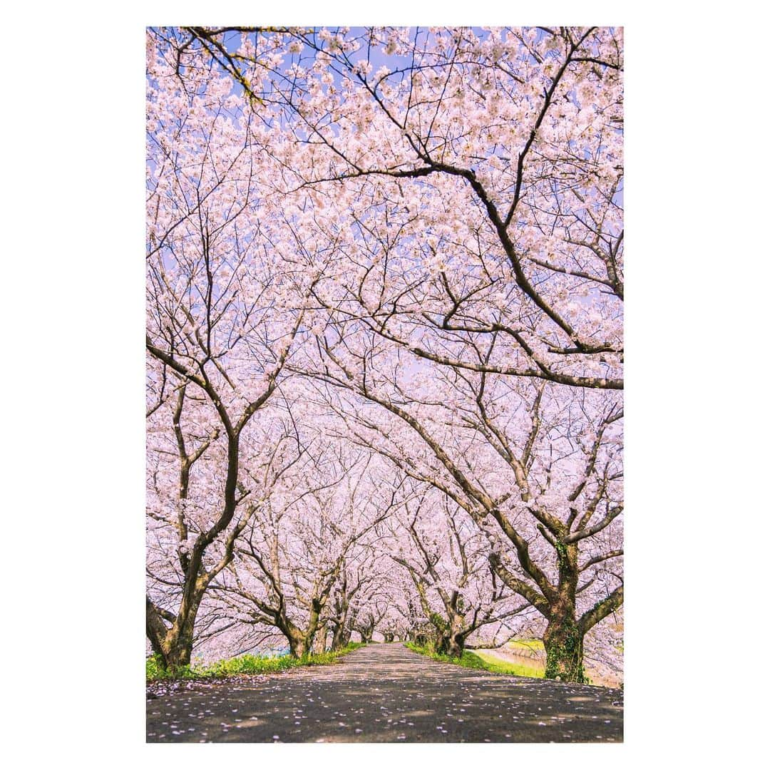 yamatoさんのインスタグラム写真 - (yamatoInstagram)「絶景がすぐそばに」3月31日 21時53分 - yamato1226