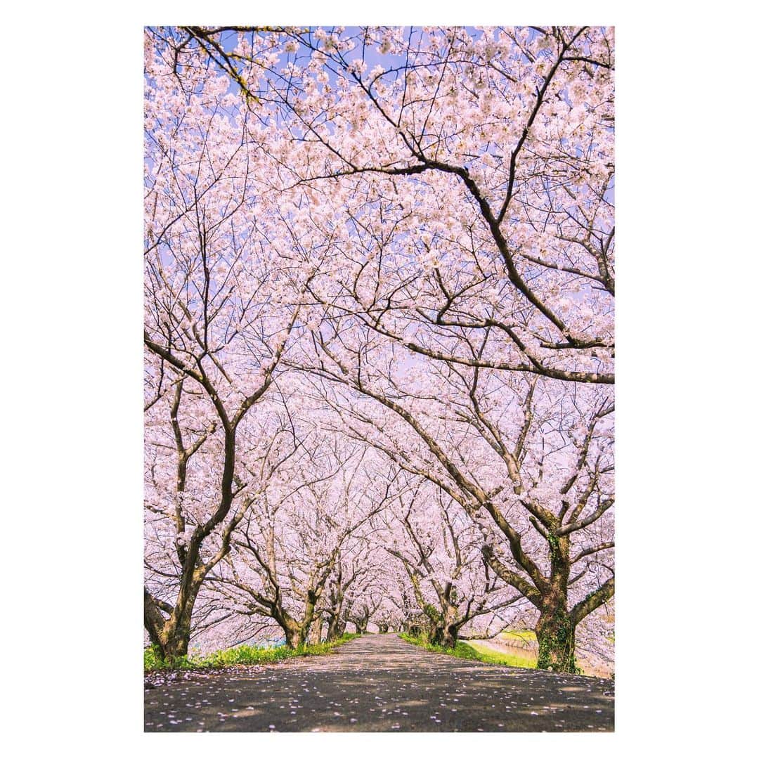 yamatoのインスタグラム：「絶景がすぐそばに」