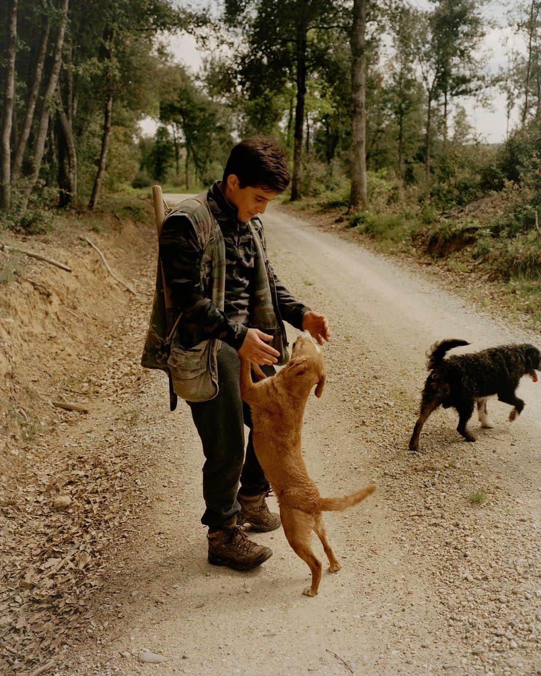 Kinfolk Magazineのインスタグラム：「Truffle hunting in Tuscany! 🐶 Our new book Kinfolk Wilderness will take you to places a world away from your typical travel itinerary. In advance of  the book's release on April 11 we've uploaded three preview stories to Kinfolk.com, including this dispatch from Italy. Read the story via the link in our bio or order Kinfolk Wilderness now at kinfolk.com/shop. (Photos: @andymassaccesi)」