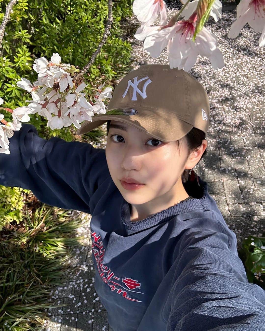 平美乃理さんのインスタグラム写真 - (平美乃理Instagram)「桜満開🌸」3月31日 22時01分 - minori_taira