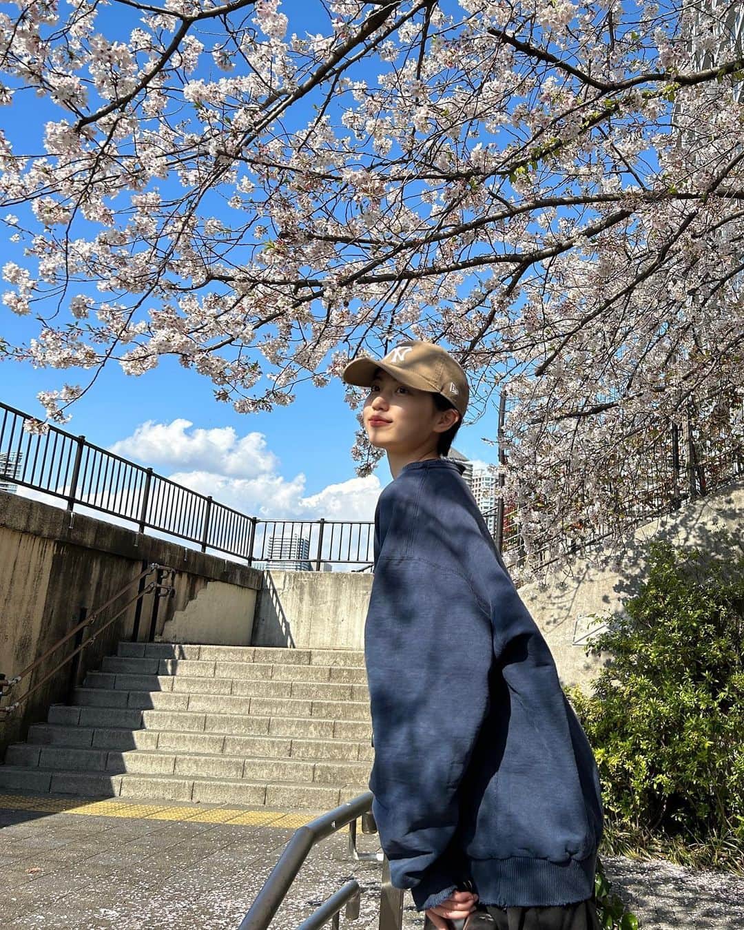 平美乃理さんのインスタグラム写真 - (平美乃理Instagram)「桜満開🌸」3月31日 22時01分 - minori_taira
