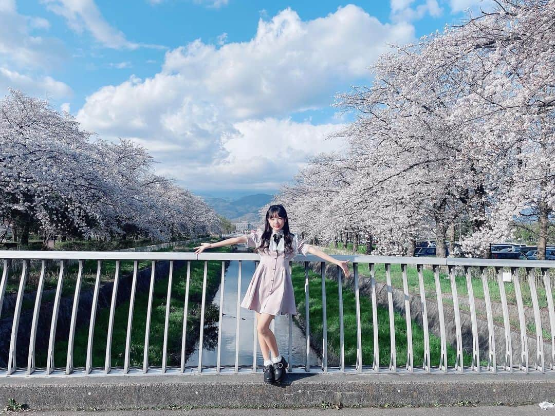 流石夏恋さんのインスタグラム写真 - (流石夏恋Instagram)「🌸  #桜 🫶🏻  今年もキレイな桜を見れて しあわせです( ⸝⸝⸝ᵕᴗᵕ⸝⸝⸝ )💕💕💕   #yumeadocitron #夢アドシトロン   #桜満開🌸 #桜🌸 #桜スポット   #山梨 #山梨県 #yamanashi_japan   #日本の景色 #日本の四季 #春の花   #sakura #春が来た #jc1 #fjc #13歳」3月31日 22時21分 - karen_ymcitron