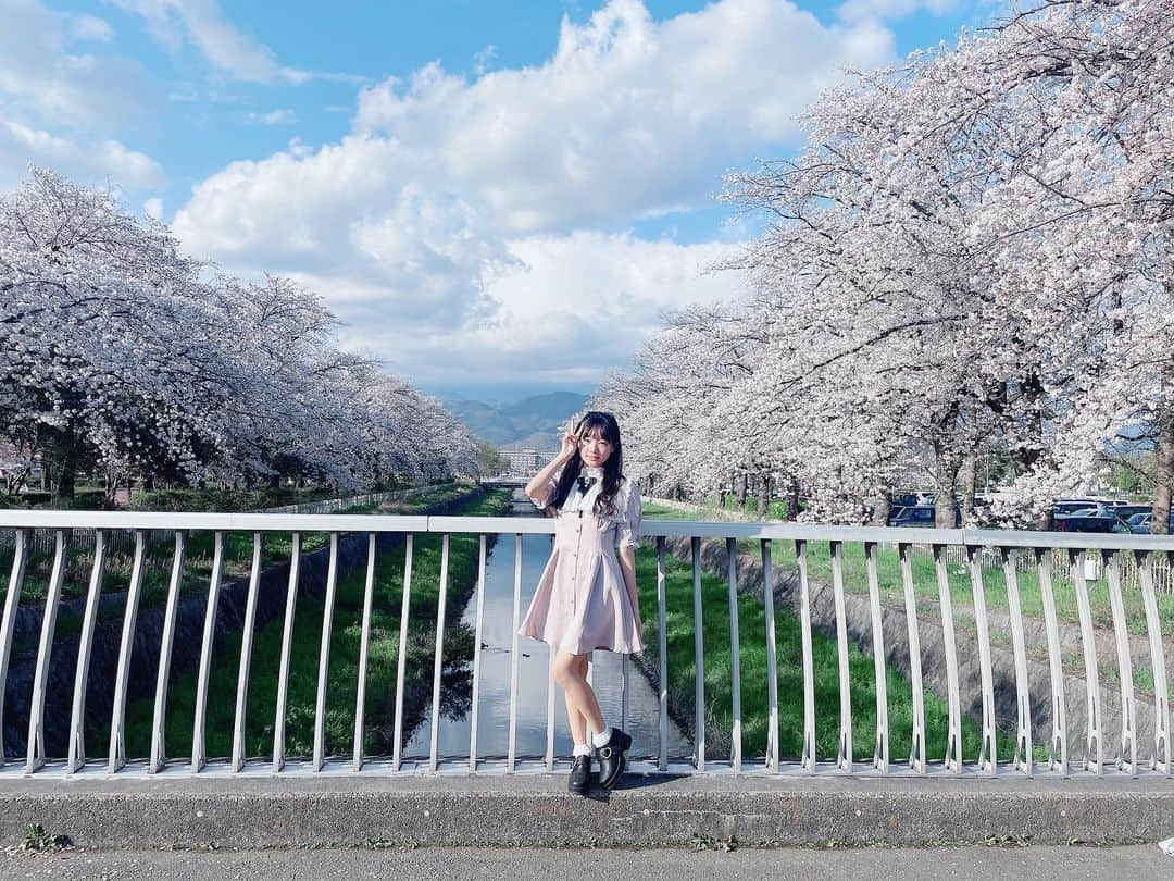 流石夏恋さんのインスタグラム写真 - (流石夏恋Instagram)「🌸  #桜 🫶🏻  今年もキレイな桜を見れて しあわせです( ⸝⸝⸝ᵕᴗᵕ⸝⸝⸝ )💕💕💕   #yumeadocitron #夢アドシトロン   #桜満開🌸 #桜🌸 #桜スポット   #山梨 #山梨県 #yamanashi_japan   #日本の景色 #日本の四季 #春の花   #sakura #春が来た #jc1 #fjc #13歳」3月31日 22時21分 - karen_ymcitron