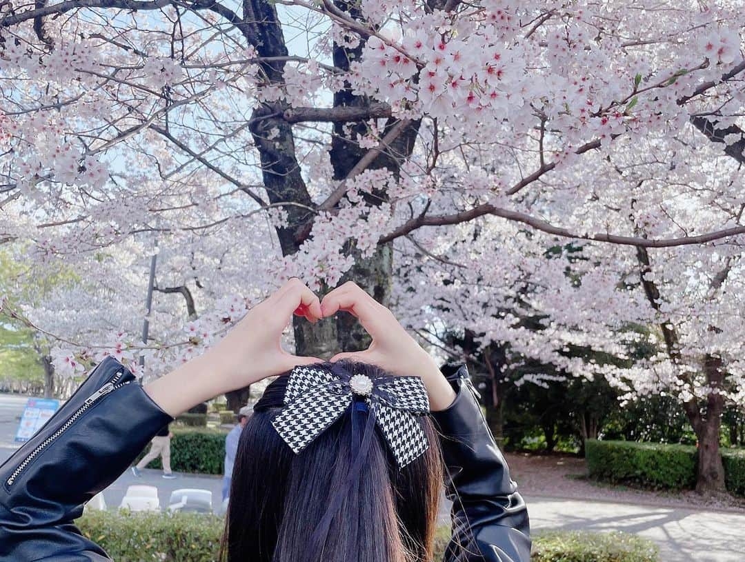 流石夏恋さんのインスタグラム写真 - (流石夏恋Instagram)「🌸  #桜 🫶🏻  今年もキレイな桜を見れて しあわせです( ⸝⸝⸝ᵕᴗᵕ⸝⸝⸝ )💕💕💕   #yumeadocitron #夢アドシトロン   #桜満開🌸 #桜🌸 #桜スポット   #山梨 #山梨県 #yamanashi_japan   #日本の景色 #日本の四季 #春の花   #sakura #春が来た #jc1 #fjc #13歳」3月31日 22時21分 - karen_ymcitron