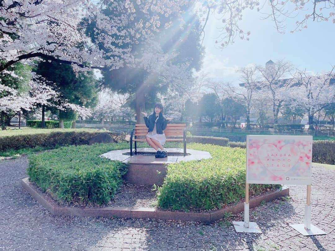 流石夏恋さんのインスタグラム写真 - (流石夏恋Instagram)「🌸  #桜 🫶🏻  今年もキレイな桜を見れて しあわせです( ⸝⸝⸝ᵕᴗᵕ⸝⸝⸝ )💕💕💕   #yumeadocitron #夢アドシトロン   #桜満開🌸 #桜🌸 #桜スポット   #山梨 #山梨県 #yamanashi_japan   #日本の景色 #日本の四季 #春の花   #sakura #春が来た #jc1 #fjc #13歳」3月31日 22時21分 - karen_ymcitron