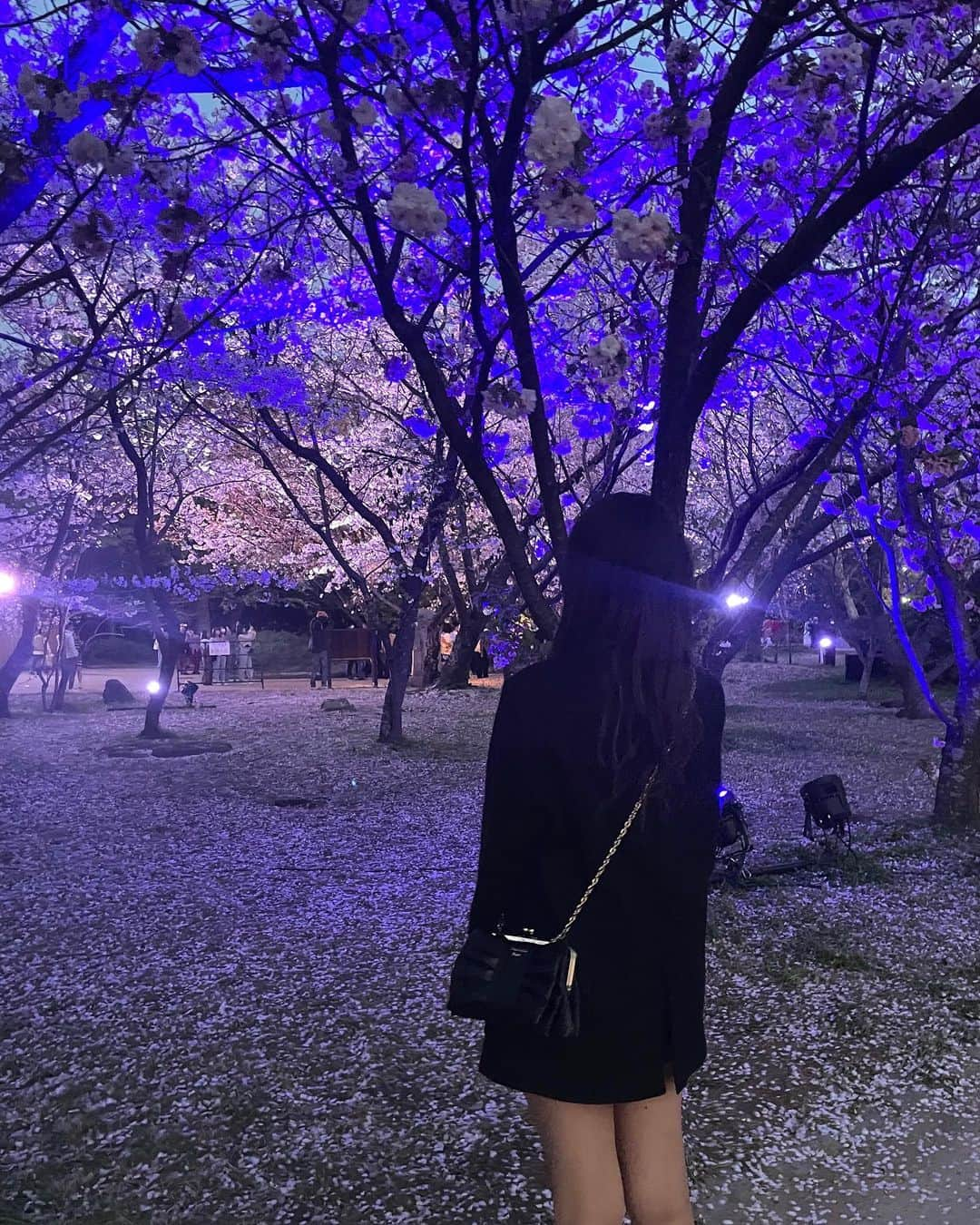 黒川ありさのインスタグラム：「^^   #福岡 #夜桜 #jk」