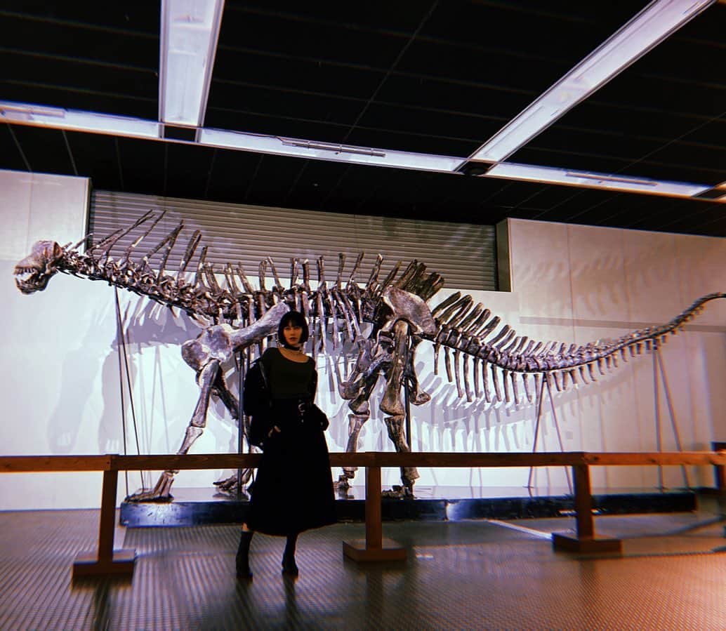 佐藤乃莉さんのインスタグラム写真 - (佐藤乃莉Instagram)「がぉ🦕🦖  アラスカで恐竜見た人いるんだって  前は沢山居たんだから  まだいるかもしれない…  宇宙人とどちらが可能性あるかな…  佐藤はどちらも居るでしょう派  👽🛸🦕🦖  #恐竜#骨#化石#ポケモン#japan」3月31日 22時18分 - nori_sato_