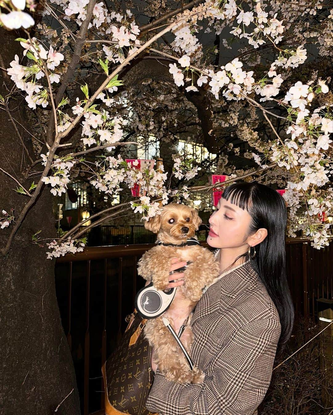 前山奈津巴さんのインスタグラム写真 - (前山奈津巴Instagram)「今年も散っちゃう前に君に会いに行けたよ。雨にも負けず頑張ってくれてありがとう🌸」3月31日 22時29分 - natsuha_maeyama