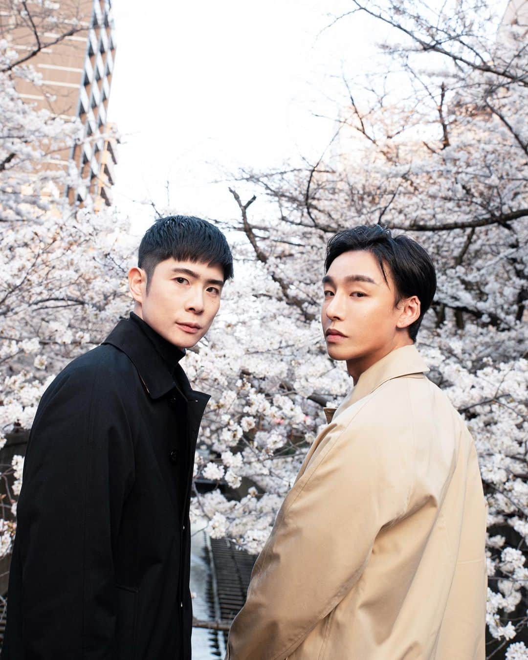 Noah（ノア）のインスタグラム：「大樹は私がいるから毎日が花見だそうです☺️ 良かったね @taiki_jp   @burberry  #TaikiNoah#Burberry#PR」