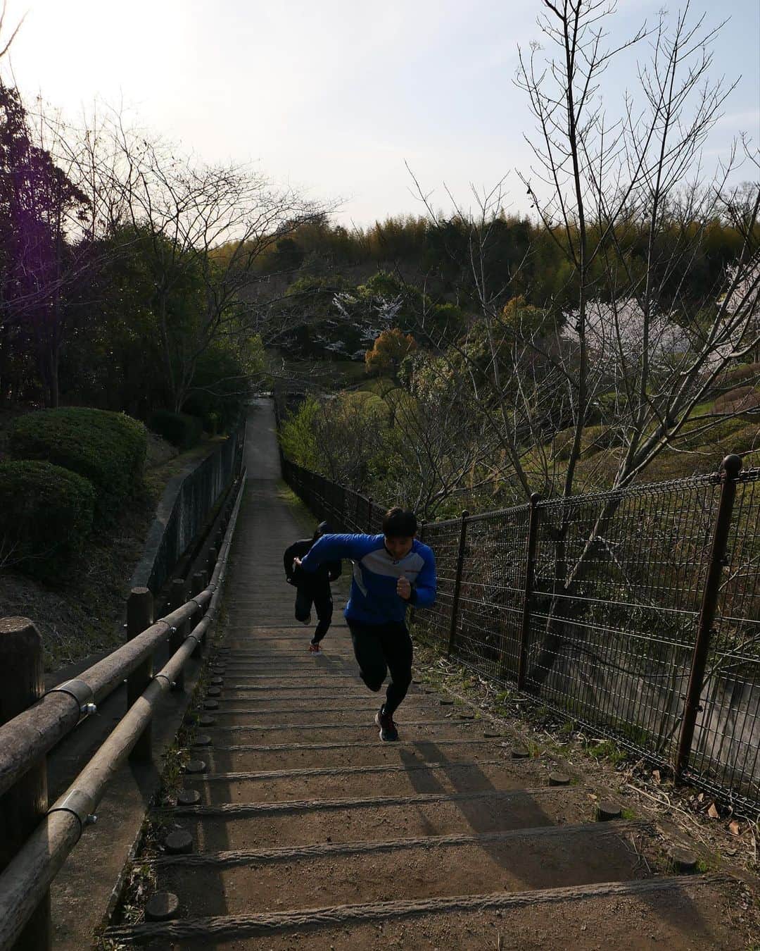 丸山城志郎さんのインスタグラム写真 - (丸山城志郎Instagram)「聖地 白川 #階段ダッシュ#Jトレ」3月31日 22時57分 - joshiromaruyama