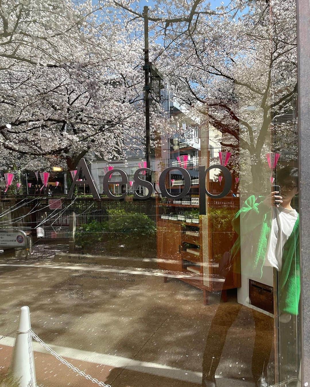 のインスタグラム：「飽きずに見に行ってしまう🌸」