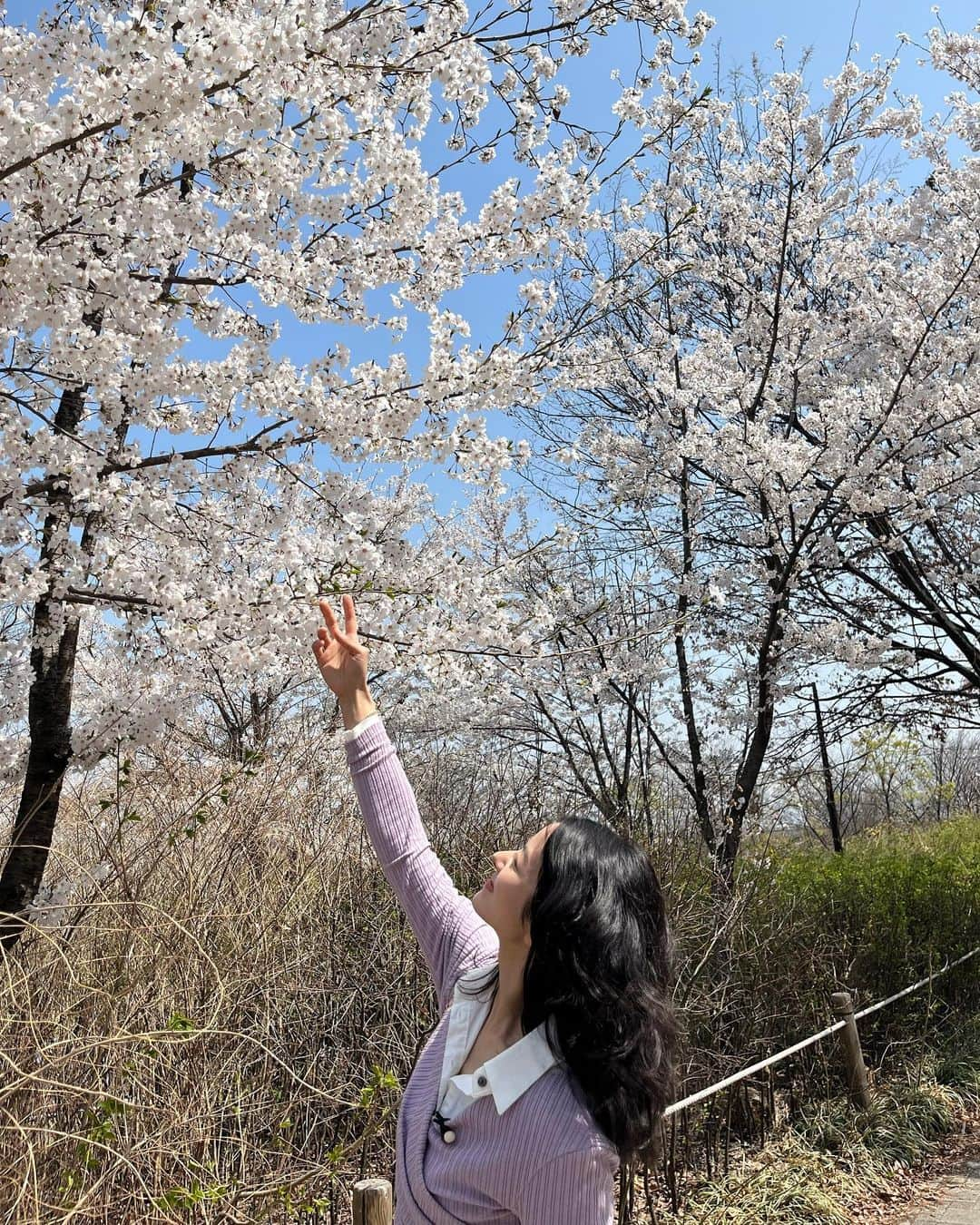 秋葉里枝さんのインスタグラム写真 - (秋葉里枝Instagram)「촬영 하면서 피크닉도 벚꽃구경도 즐거운수다도 제대로 했다아😆🌸❤️  makeup @lkmforet_cheongdam hair @jaesun_hair 보라니트 @fe______l 청바지 @stellamccartney」3月31日 22時54分 - rie_akiba