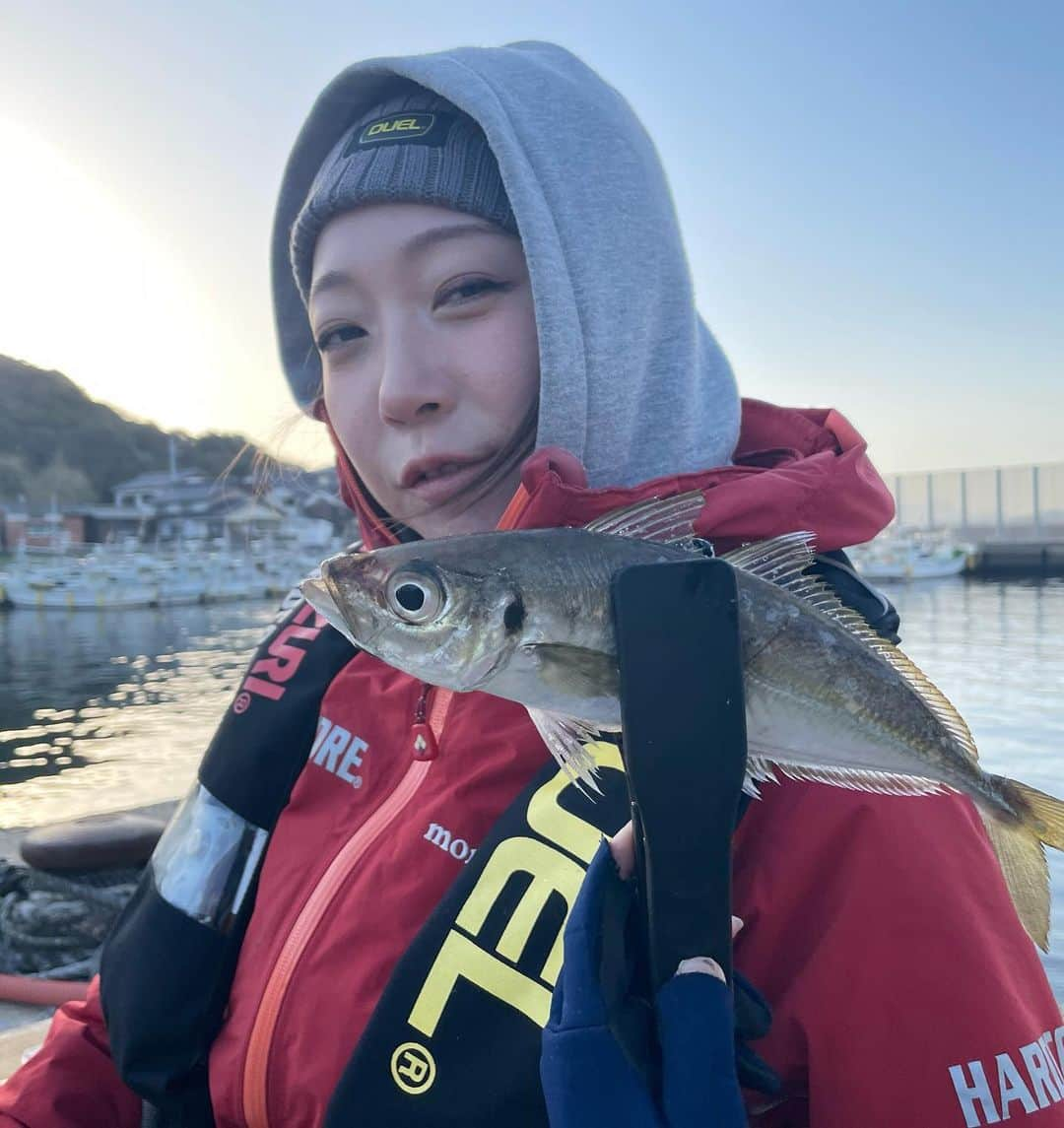 あさいあみさんのインスタグラム写真 - (あさいあみInstagram)「金曜日です❣️ YouTube あみちゃんのもっと釣りたい🎣 配信日です❣️ ⁡ 今回は今大注目のアジングThe One の0.13を実釣してきました❗️  一日中でかさご、カマス、尺に近いアジを釣って楽しんでしまった❗️  何よりも、絶対感度❗️ 感度良すぎて魚がふわふわしてるのわかるから、実質100匹釣った気分☺️🧡🧡🧡  コメント、グッドボタン、チャンネル登録よろしくねん🎣 ⁡  https://youtu.be/61TAFVVB-8k   #asian#Japanese#girl#instagood#ig_japan#ガチ釣りガール#釣りガール#釣り好き#ガチ釣り#アングラードル#duel#hardcore#yozuri#チームduel #あみちゃんのもっと釣りたい#あみ釣り#あさいあみ #fishing #fishinggirls#shimano# #zeque #釣り#낚시여자#갂시좋아#アジング#theone#長崎県#尺アジ」3月31日 23時05分 - asai_ami