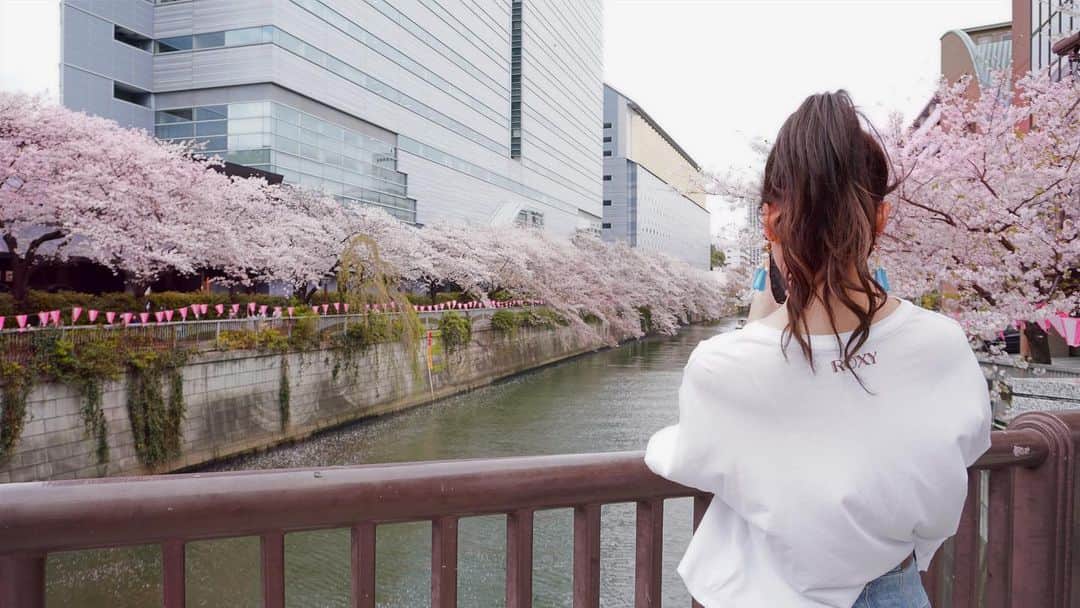 岡部麟さんのインスタグラム写真 - (岡部麟Instagram)「憧れの、東京の目黒の桜！🌸初めて見れて嬉しかった😊」3月31日 22時59分 - beristagram_1107