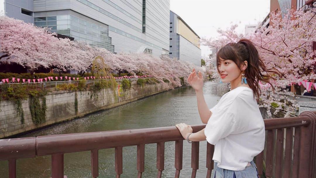 岡部麟さんのインスタグラム写真 - (岡部麟Instagram)「憧れの、東京の目黒の桜！🌸初めて見れて嬉しかった😊」3月31日 22時59分 - beristagram_1107