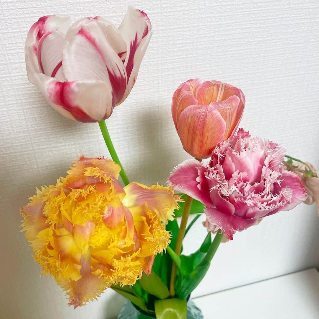 長江愛美さんのインスタグラム写真 - (長江愛美Instagram)「3.31💐  お花が開くのを見るのとても幸せ🌷  #お花のある生活」3月31日 23時24分 - manamin.512