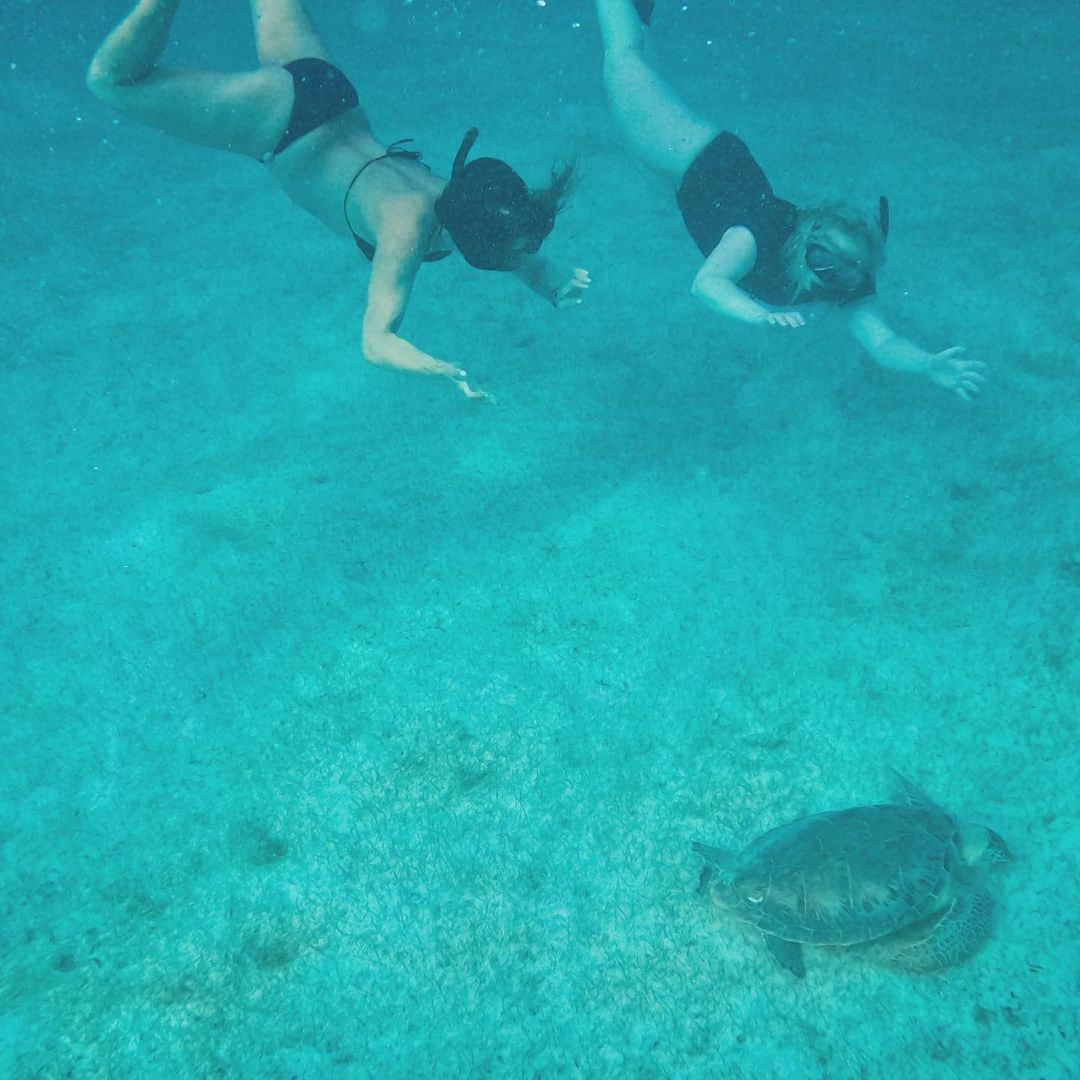 レベル・ウィルソンのインスタグラム：「Swimming with the turtles with @lisareubs 💚」