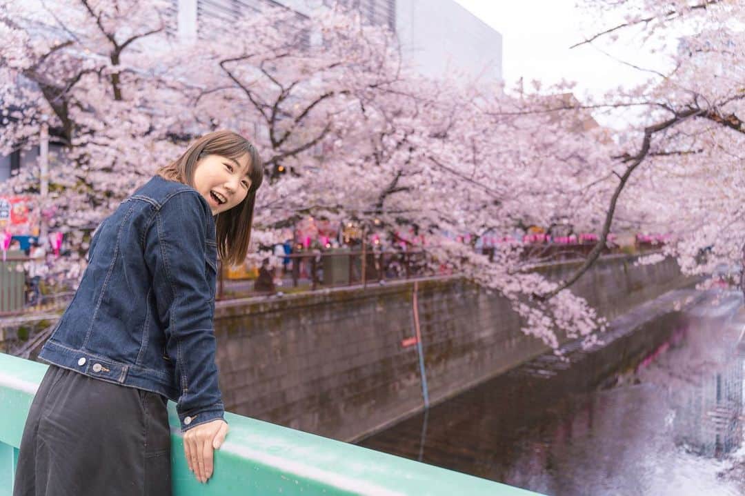 のインスタグラム：「毎年恒例の目黒川の桜🌸 滑り込みで行けてよかった☺️ ・ #🌸 #桜 #cherryblossom」