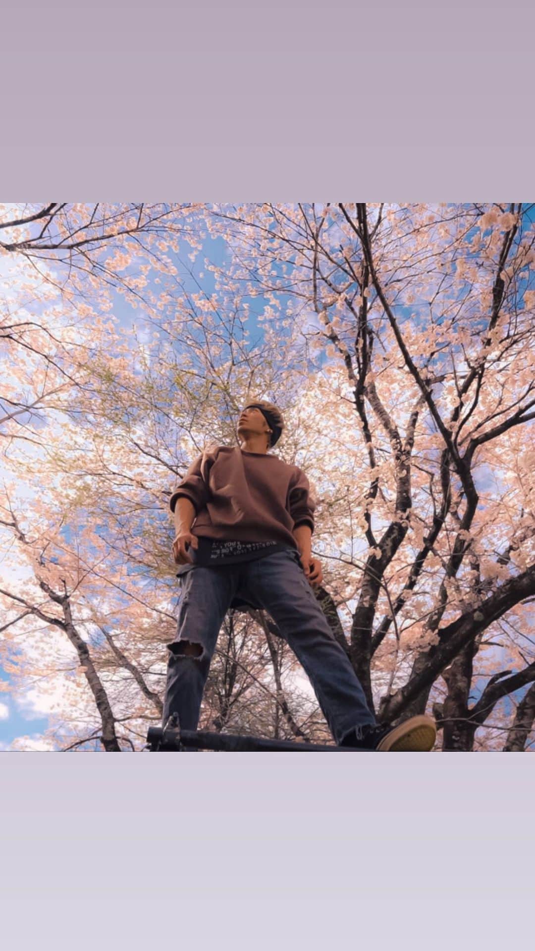のインスタグラム：「In japan there are so many kinds of “Sakura”. This one is “Someiyoshino”, the most popular one.  ・ ・ もっと色んな場所の色んな桜を見に行ってみたい。 ・ 📷by @tetsuro_iino  ✂︎−−−−−−−−−−−−−−−−−−−−−−−−− #sakura #someiyoshino #そめいよしの #humanflag #acrobatics #cherryblossom #🌸」