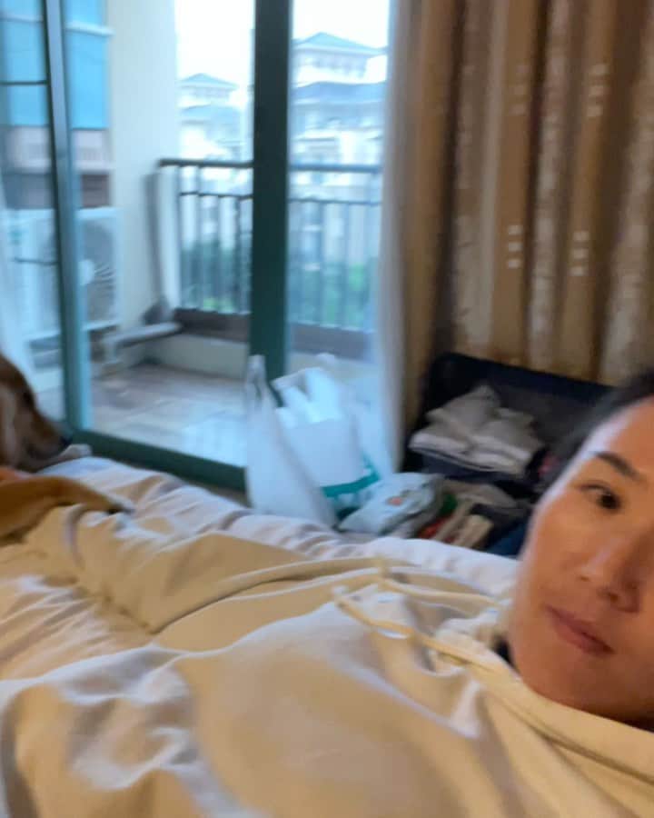 ジェン・サイサイのインスタグラム：「#dreamlife @yuanbao_panpan_beita」