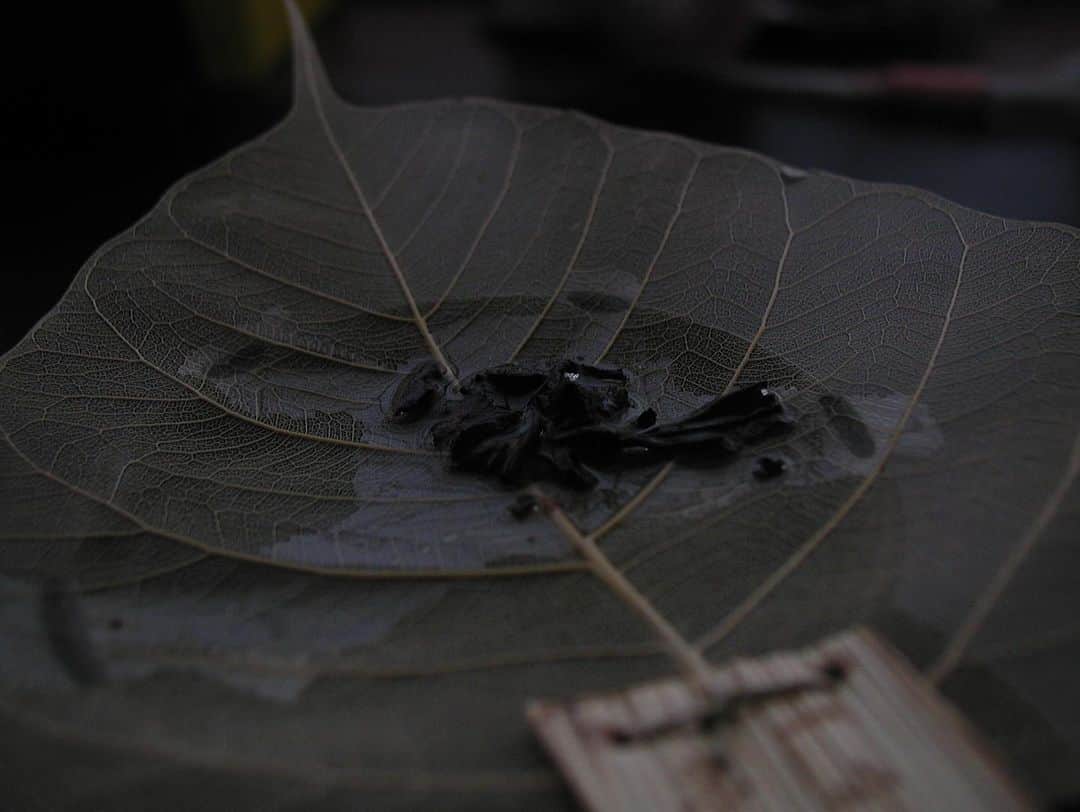 IA（アイエー）さんのインスタグラム写真 - (IA（アイエー）Instagram)「🫖趣味のお話　#中国茶   お休みの日は朝からお茶を淹れるヨ🍵  なんと先日、 ご縁を頂いて京都で抹茶のお稽古に行かせていただきましたネ。 (ブルブル) まさか、人生初の抹茶のお稽古が そんな具合に開かれるとは思いもせず⛩ ずっと、何年も前から行ってみたかった日本式のお稽古。。 けれど、なかなか敷居の高さを感じていたお稽古。。。  やっと行けて感服です……🏮  抹茶の作法は全くのど素人なのに ひょんな事から突如、連れて行ってくれた 金閣寺の近くのお菓子屋さんに大感謝。🫶🏻  それはそうと 私個人はおおよそ6年ほど中国茶を趣味程度に続けているのです。 仕事でお稽古に顔を出せずじまいだけれどネ🫠  中国茶はさまざまな作用があるので、 東洋では日々の健康管理の一環としても親しまれて居ますネー！  何かお茶について質問があれば是非コメントしてちょ＊  あたいはこれにてお暇🎠🏰」4月1日 0時02分 - iaiaiaz5