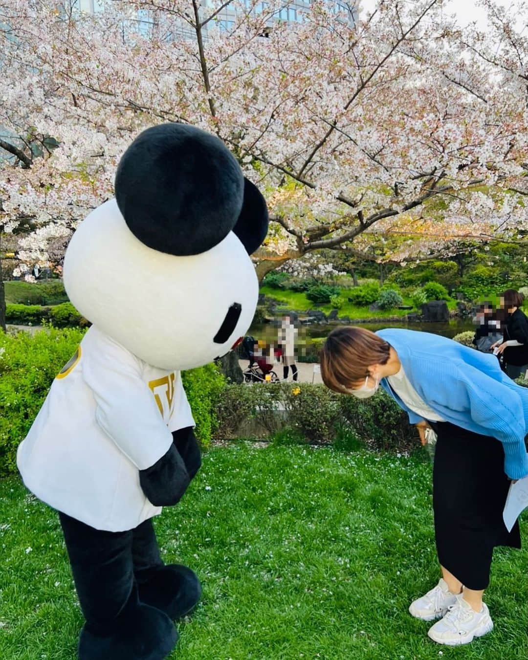 久保田直子さんのインスタグラム写真 - (久保田直子Instagram)「テレビ朝日周辺は既に葉桜です。咲き誇る桜も見応えがありますが、舞い散る花びらを見上げるのも良いものですね🌸  皆さんの周りの桜はどうでしょう？☺️」4月1日 0時28分 - naoko_kubota_ex